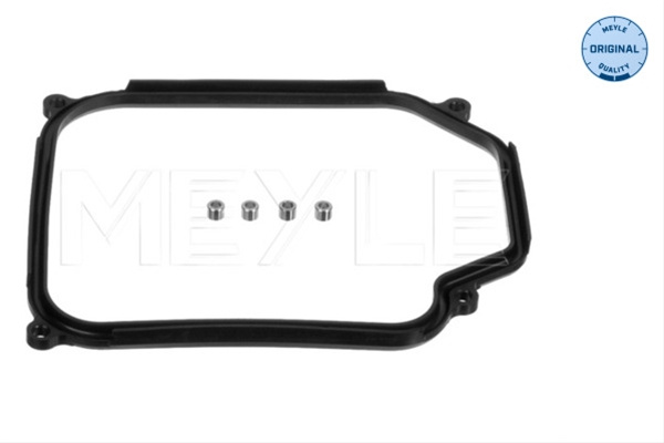 Garnitura, Lumina Numar Inmatriculare Meyle Audi 100 321 0001