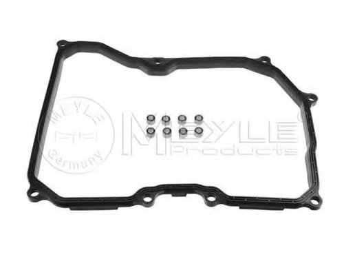 Garnitura, lumina numar inmatriculare MINI MINI CLUBMAN (R55) (2007 - 2015) MEYLE 100 139 0002 piesa...