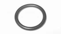 Garnitura O-Ring Termostat Oe Bmw M47 M57 11517788...