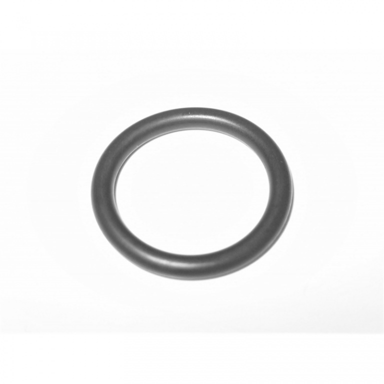 Garnitura O-Ring Termostat Oe Bmw M47 M57 11517788984