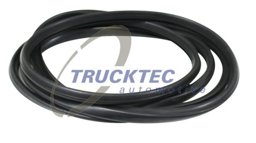 Garnitura, parbriz (0150025 TRUCKTEC) MERCEDES-BENZ