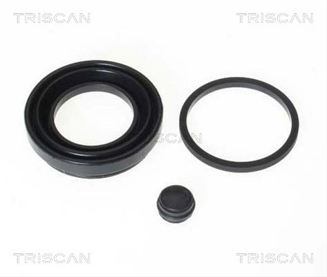 Garnitura Piston Etrier Triscan 8170 189925