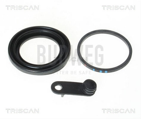 Garnitura Piston Etrier Triscan 8170 189943