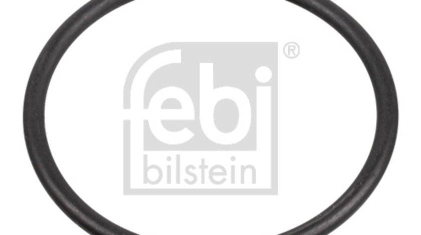 Garnitura, pompa combustibil (172666FEBI FEBI BILSTEIN) AUDI,SEAT,SKODA,VW