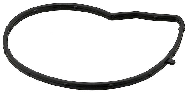 Garnitura, pompa de apa (387590 ELR) BMW,MINI,PGO