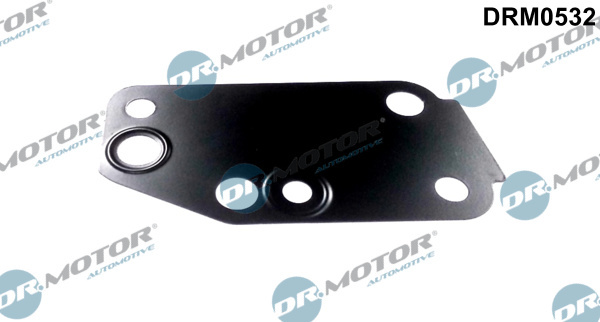 Garnitura, pompa de apa (DRM0532 DRM) FORD,LTI