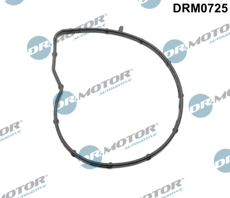 Garnitura, pompa de apa (DRM0725 DRM) BMW,Citroen,DS,MINI,PEUGEOT