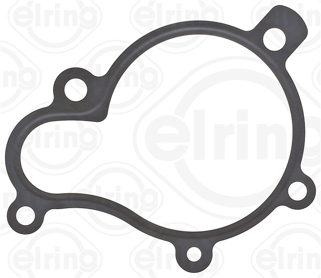 Garnitura Pompa De Apa Elring Hyundai 648.930