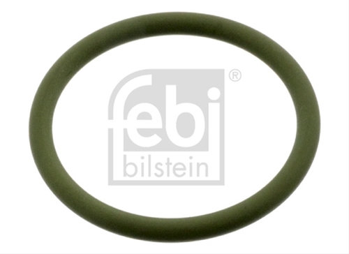 Garnitura, Pompa De Apa Febi Bilstein Iveco 49087