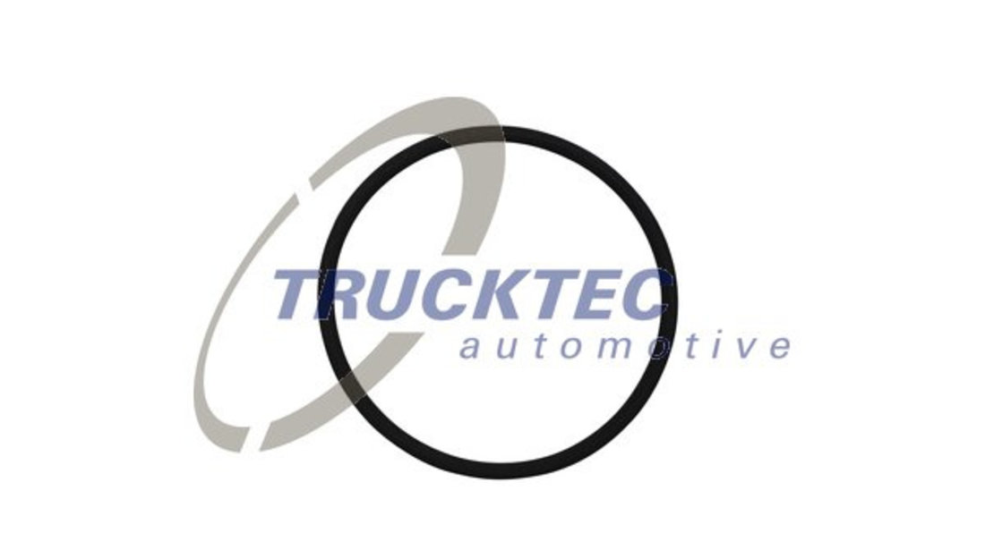 Garnitura, pompa injectie (0113199 TRUCKTEC)