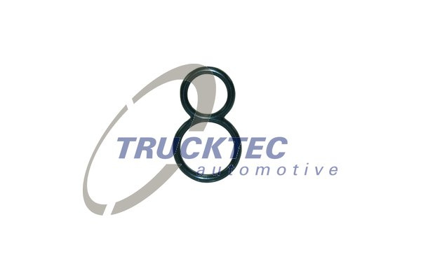 Garnitura, pompa injectie (0413039 TRUCKTEC) SCANIA