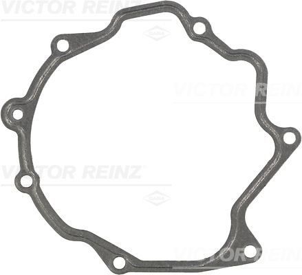 Garnitura, pompa vacuum (713179300 REI)