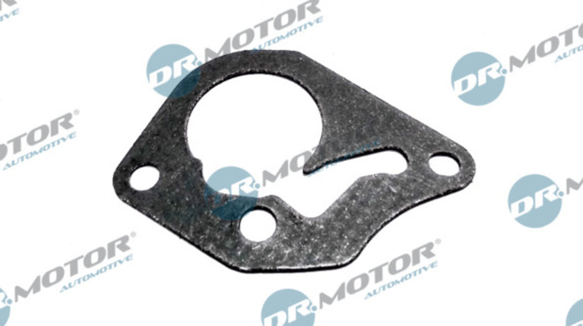 Garnitura, pompa vacuum (DRM0289 DRM) DACIA,NISSAN,RENAULT