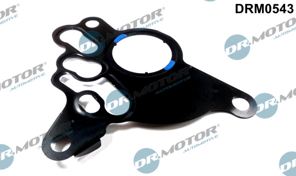 Garnitura, pompa vacuum (DRM0543 DRM) AUDI,SEAT,SKODA,VW
