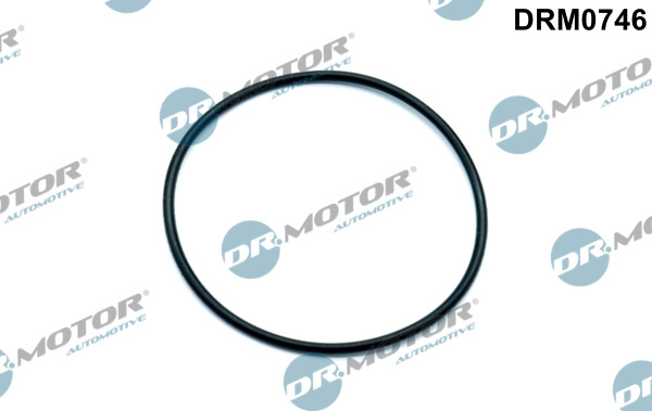 Garnitura, pompa vacuum (DRM0746 DRM) AUDI,SEAT,SKODA,VW