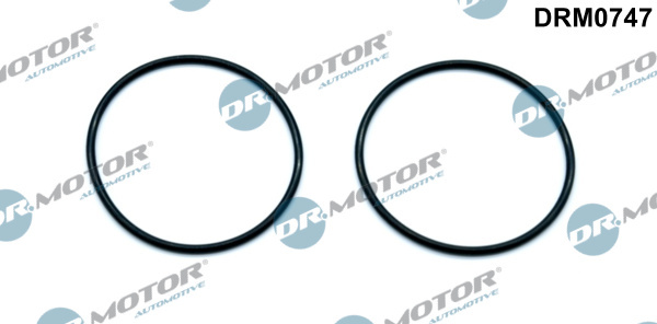 Garnitura, pompa vacuum (DRM0747 DRM) AUDI,SEAT,SKODA,VW
