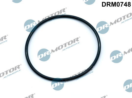 Garnitura, pompa vacuum (DRM0748 DRM) BMW,Citroen,DS,MINI,OPEL,PEUGEOT