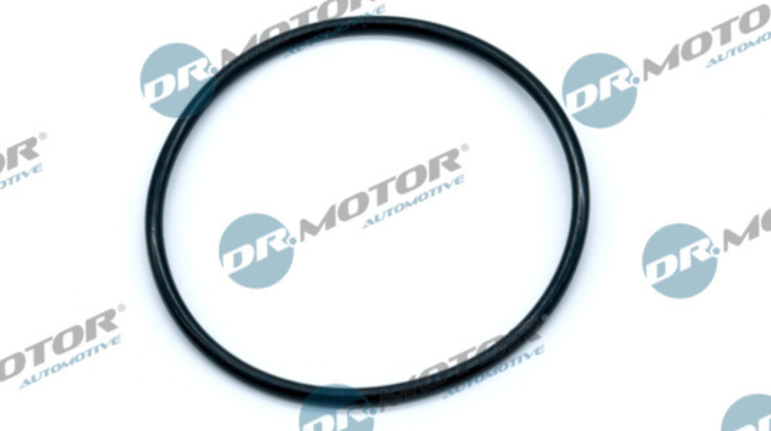 Garnitura, pompa vacuum (DRM0748 DRM) BMW,Citroen,DS,MINI,OPEL,PEUGEOT