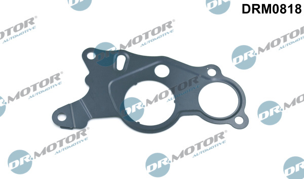 Garnitura, pompa vacuum (DRM0818 DRM) VW