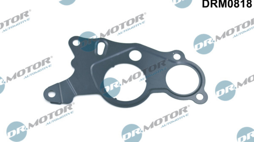 Garnitura, pompa vacuum (DRM0818 DRM) VW