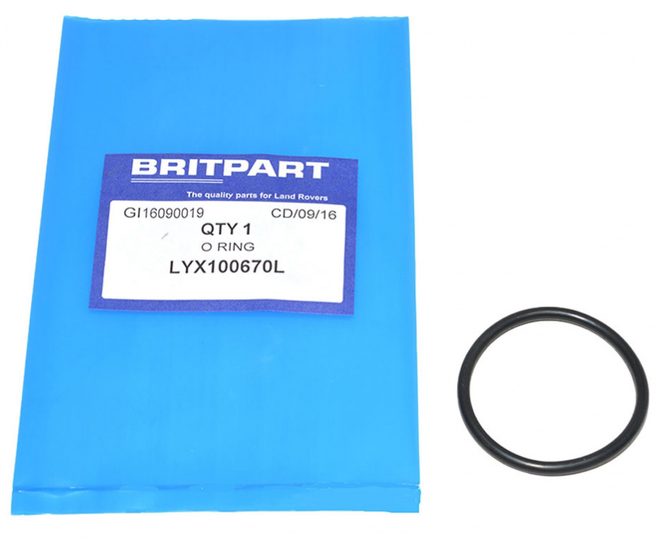 Garnitura Pompa Vacuum Oe Land Rover LYX100670L