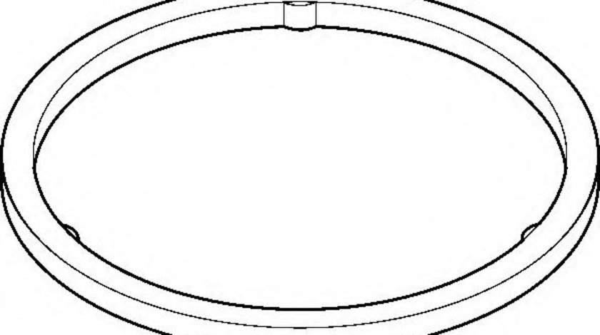 Garnitura, racord evacuare BMW Seria 3 Cabriolet (E93) (2006 - 2013) ELRING 737.710 piesa NOUA