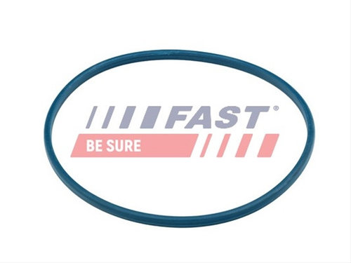 Garnitura, Stut Filtru Combustibil Fast Citroën FT48504