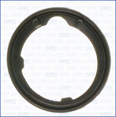 Garnitura termostat (00668400 AJUSA)