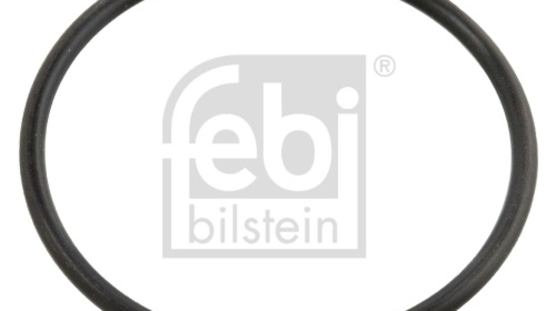 Garnitura termostat (10258 FEBI BILSTEIN) MERCEDES-BENZ,VW