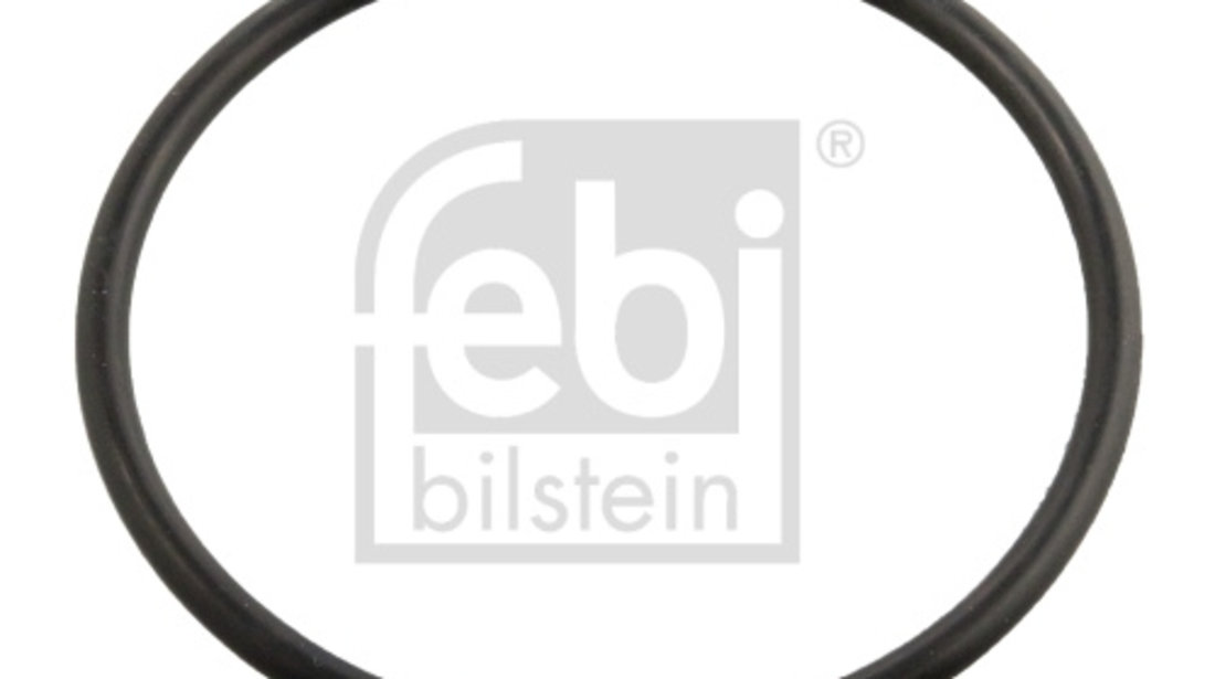 Garnitura termostat (11443 FEBI BILSTEIN) BMW,LAND ROVER,OPEL,VAUXHALL