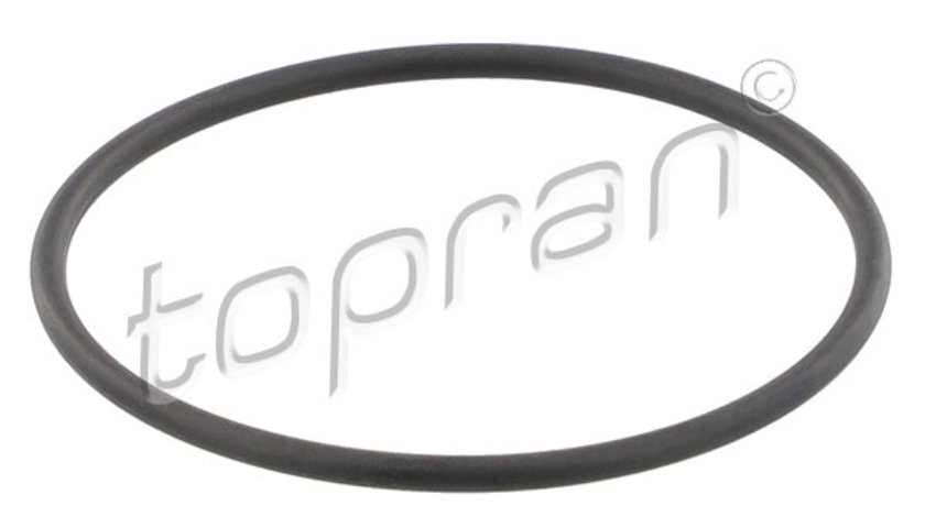 Garnitura termostat (202327 HAN) OPEL,VAUXHALL