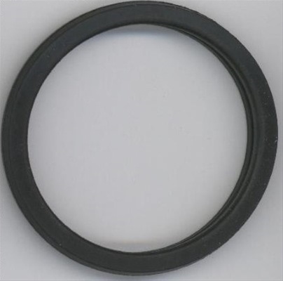 Garnitura Termostat Elring Ford 027.450