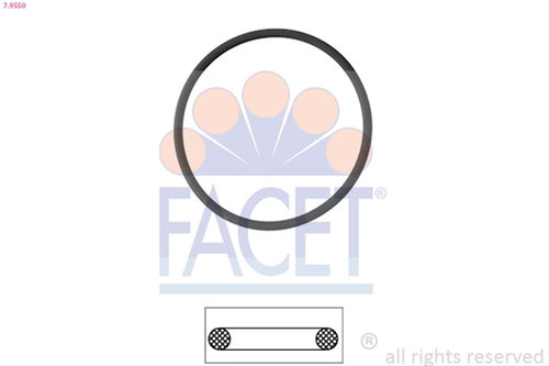 Garnitura Termostat Facet Bmw 7.9550