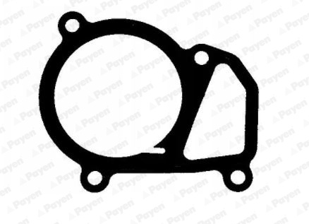 Garnitura termostat (KK5684 PAYEN) BMW