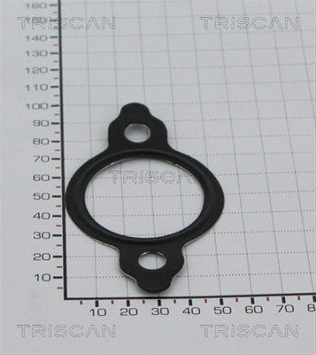 Garnitura Triscan Nissan 8813 99122