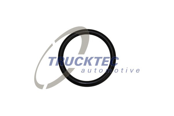 Garnituri, carcasa filtru ulei (0810039 TRUCKTEC) BMW