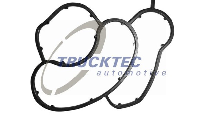 Garnituri, carcasa filtru ulei (0810054 TRUCKTEC) BMW