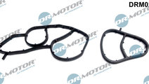 Garnituri, carcasa filtru ulei (DRM0241 DRM) BMW,C...