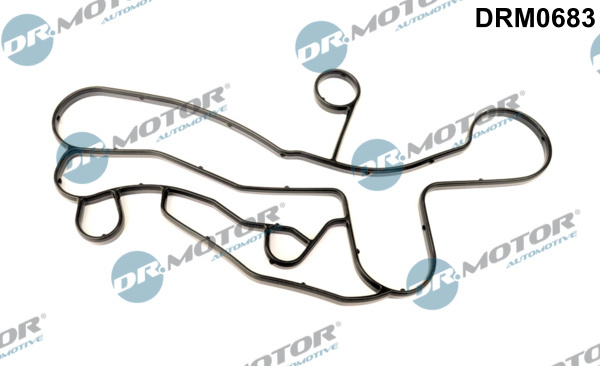 Garnituri, carcasa filtru ulei (DRM0683 DRM) LAND ROVER