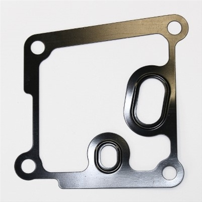 Garnituri Carcasa Filtru Ulei Elring Ford 027.191