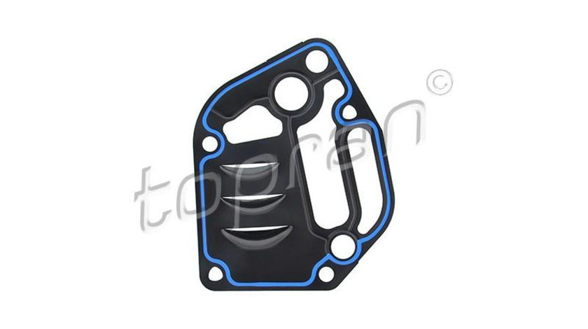 Garnituri, carcasa filtru ulei Seat SEAT CORDOBA Vario (6K5) 1999-2002 #2 06A115441J