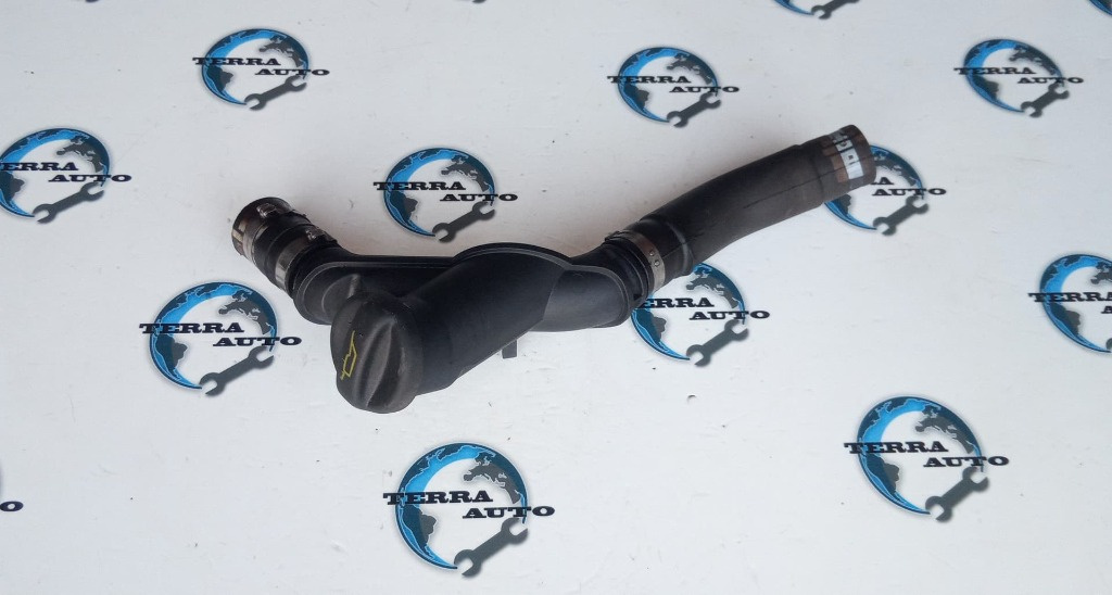 Gat umplere ulei Citroen Berlingo 1.9 D cod motor WJY
