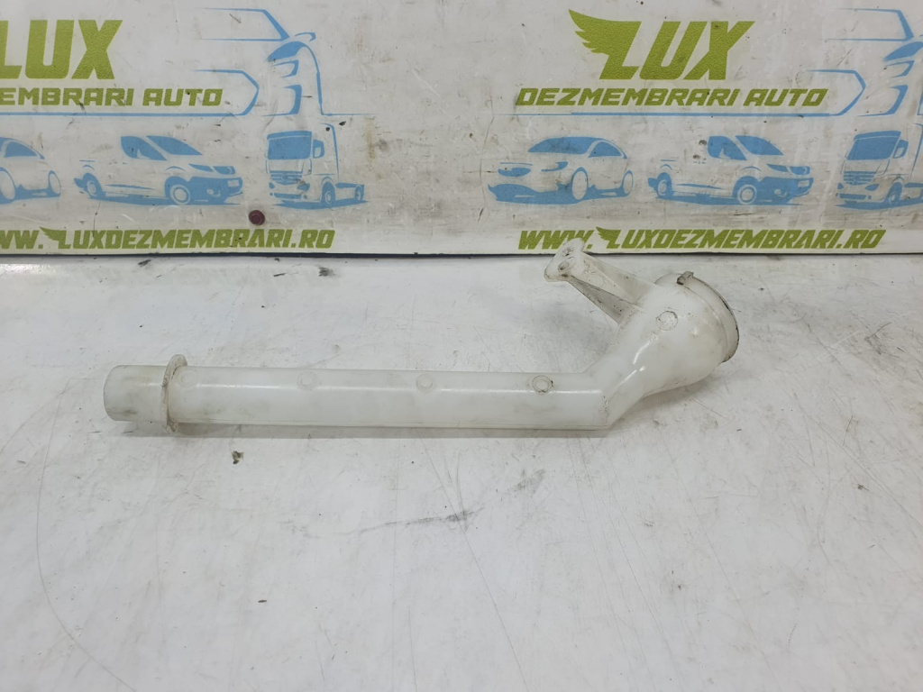 Gat umplere vas lichid parbriz Nissan Qashqai J10 [2007 - 2010] 2.0 dci M9R