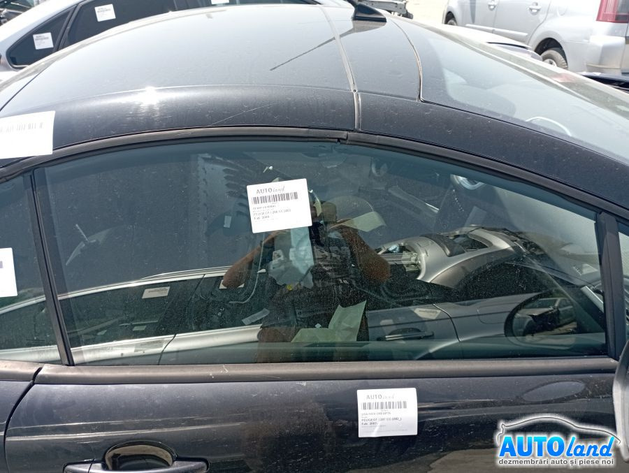 Geam Lateral Dreapta Fata Culisant Peugeot 206 CC 2D 2000