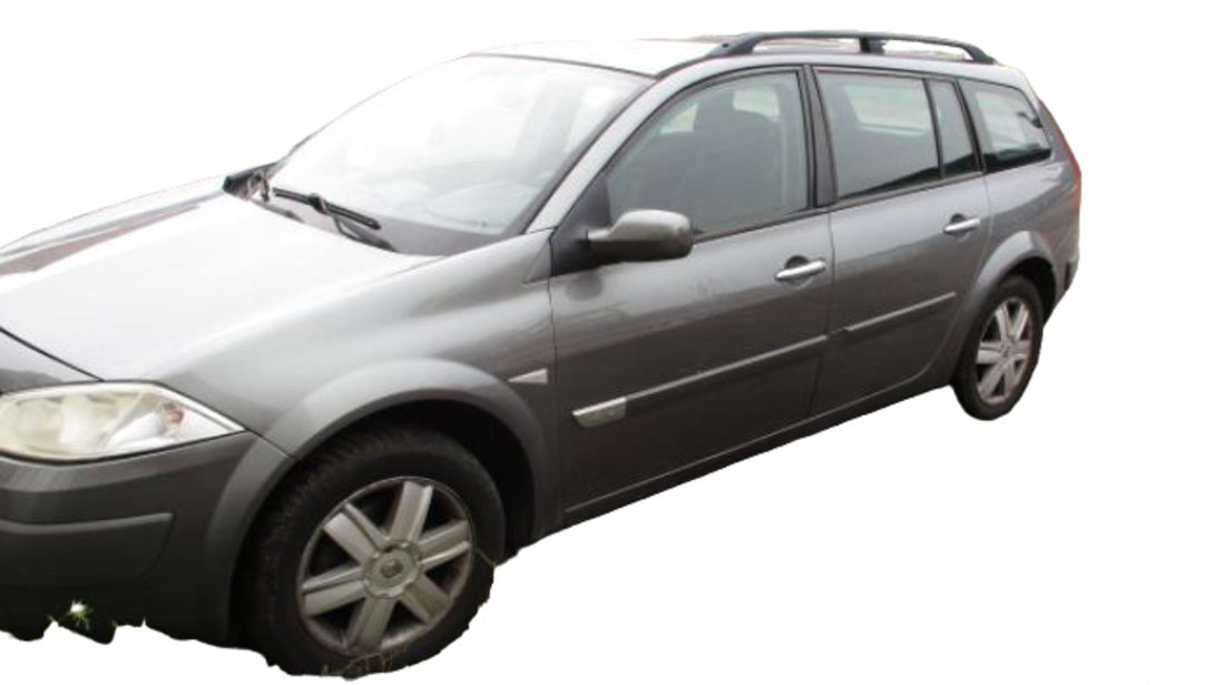 Geam usa fata stanga Renault Megane 2 [2002 - 2006] wagon 1.5 dCi MT (82 hp)