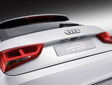 Geneva 2010: Audi A1 e-tron Concept