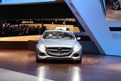 Geneva 2010: Mercedes F800 Style - Probabil noul CLS...