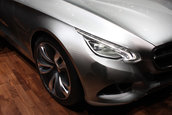 Geneva 2010: Mercedes F800 Style - Probabil noul CLS...