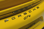 Geneva 2015: Porsche Cayman GT4