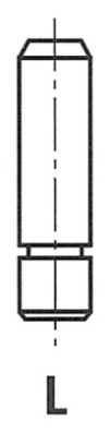 Ghid supapa (G11621 FRE) BMW